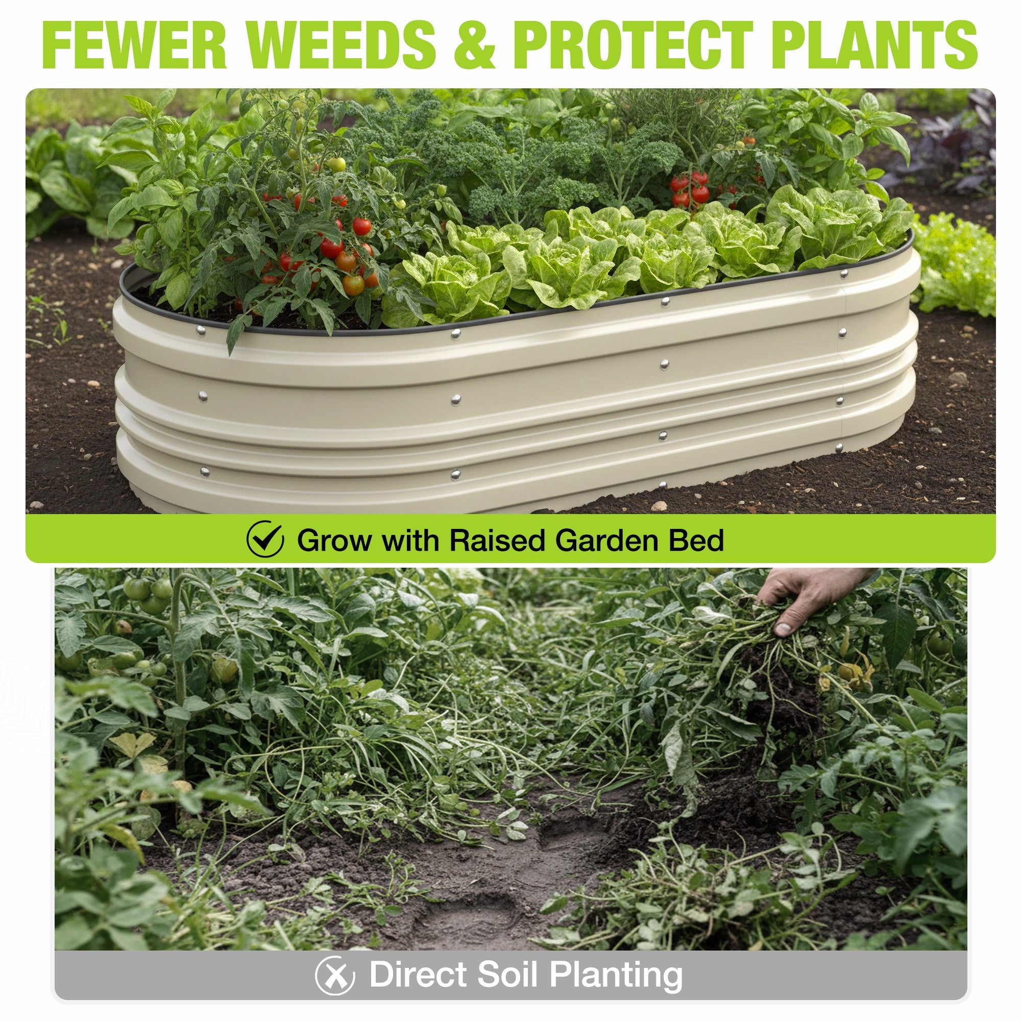 White raised garden bed with leafy greens and tomatoes, direct soil planting