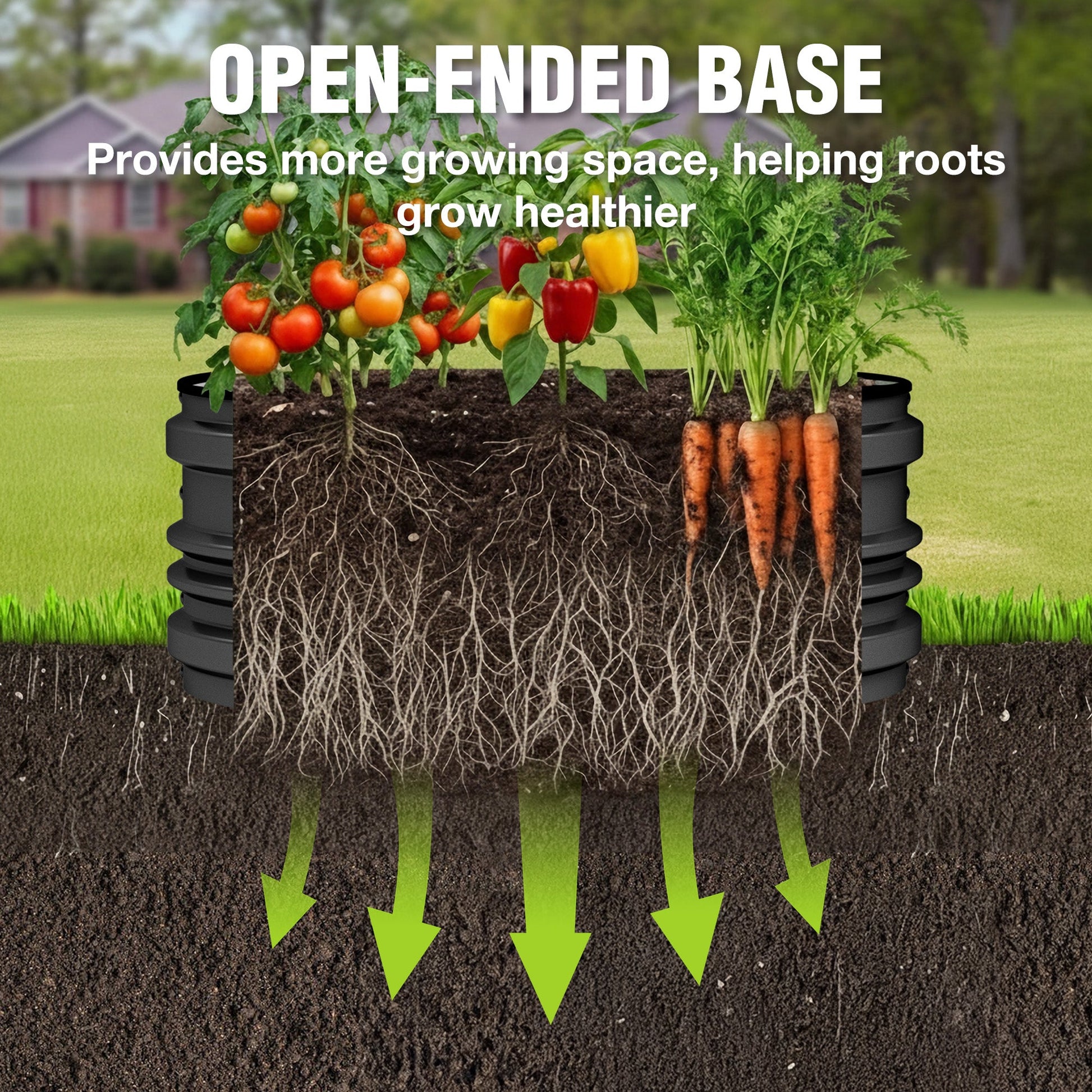 Black raised garden bed with open-ended base, showing roots below the soil