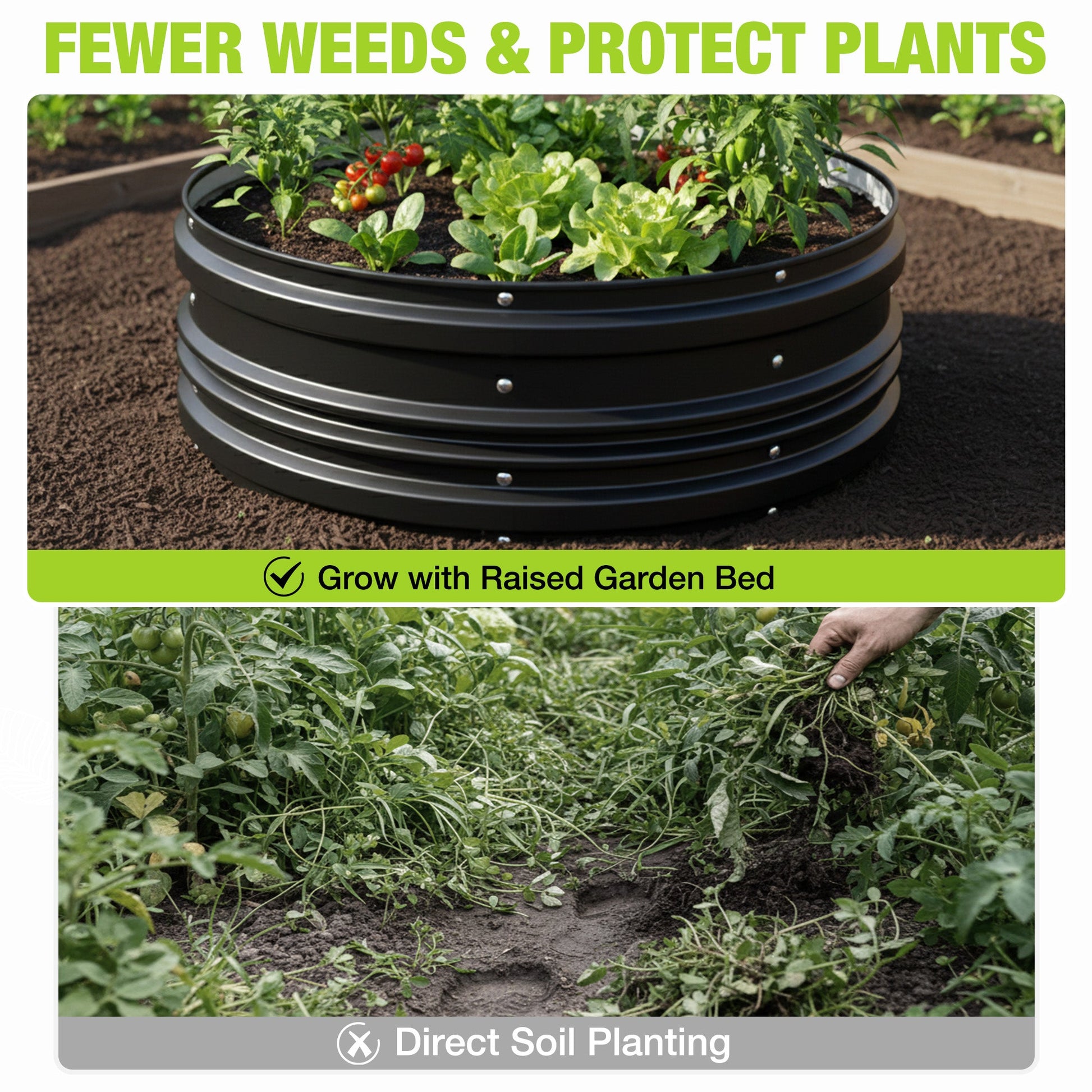 Black raised garden bed with seedlings in soil, circular wavy metal side panels