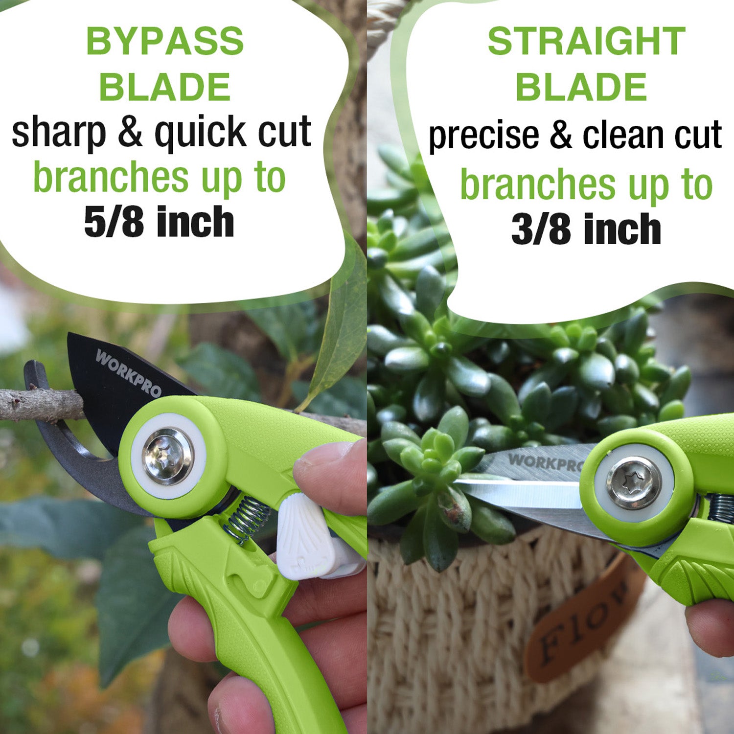 Green pruning shears set showing bypass and straight blade tips