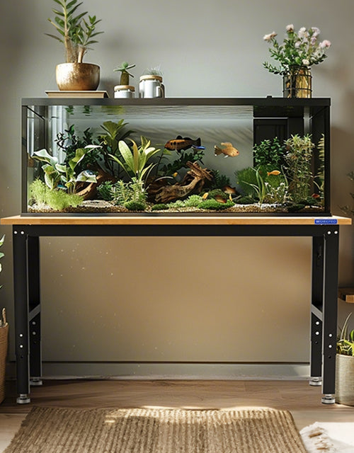 Indoor terrarium with plants and rocks, showing innovation and quality in a well lit home setup