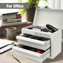 WORKPRO Mini Metal Tool Box with 2 Drawers and Top Storage, Small Tool Chest (W)