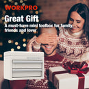 WORKPRO Mini Metal Tool Box with 2 Drawers and Top Storage, Small Tool Chest (W)