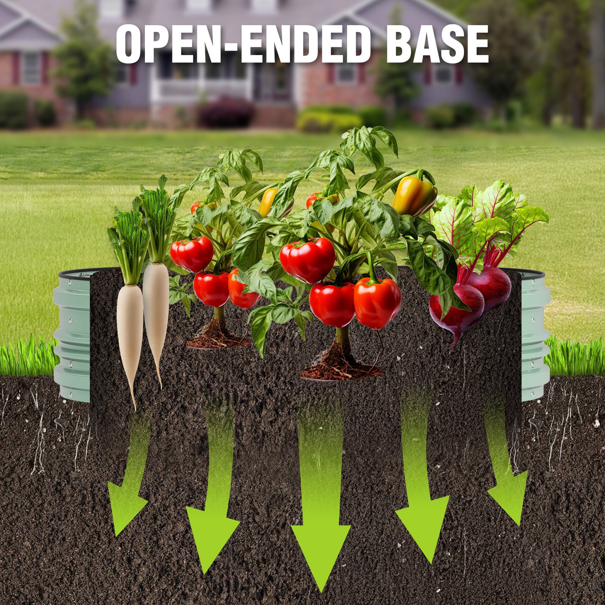 Green raised garden bed with open base showing soil beneath and root space