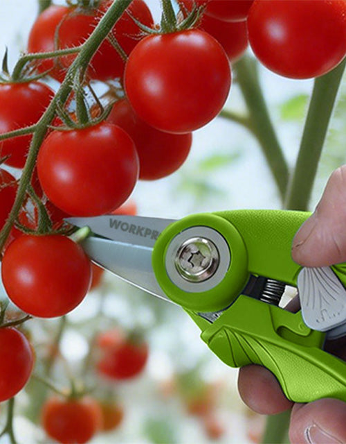 Hand holding a green tool cutting red tomatoes, with visible innovation and quality in the scene