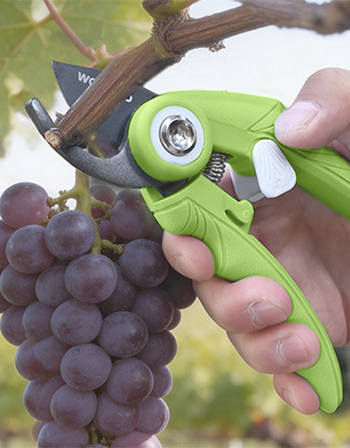 Grape pruner in green with a silver blade cutting purple grapes, showing secure grip and durable tool quality