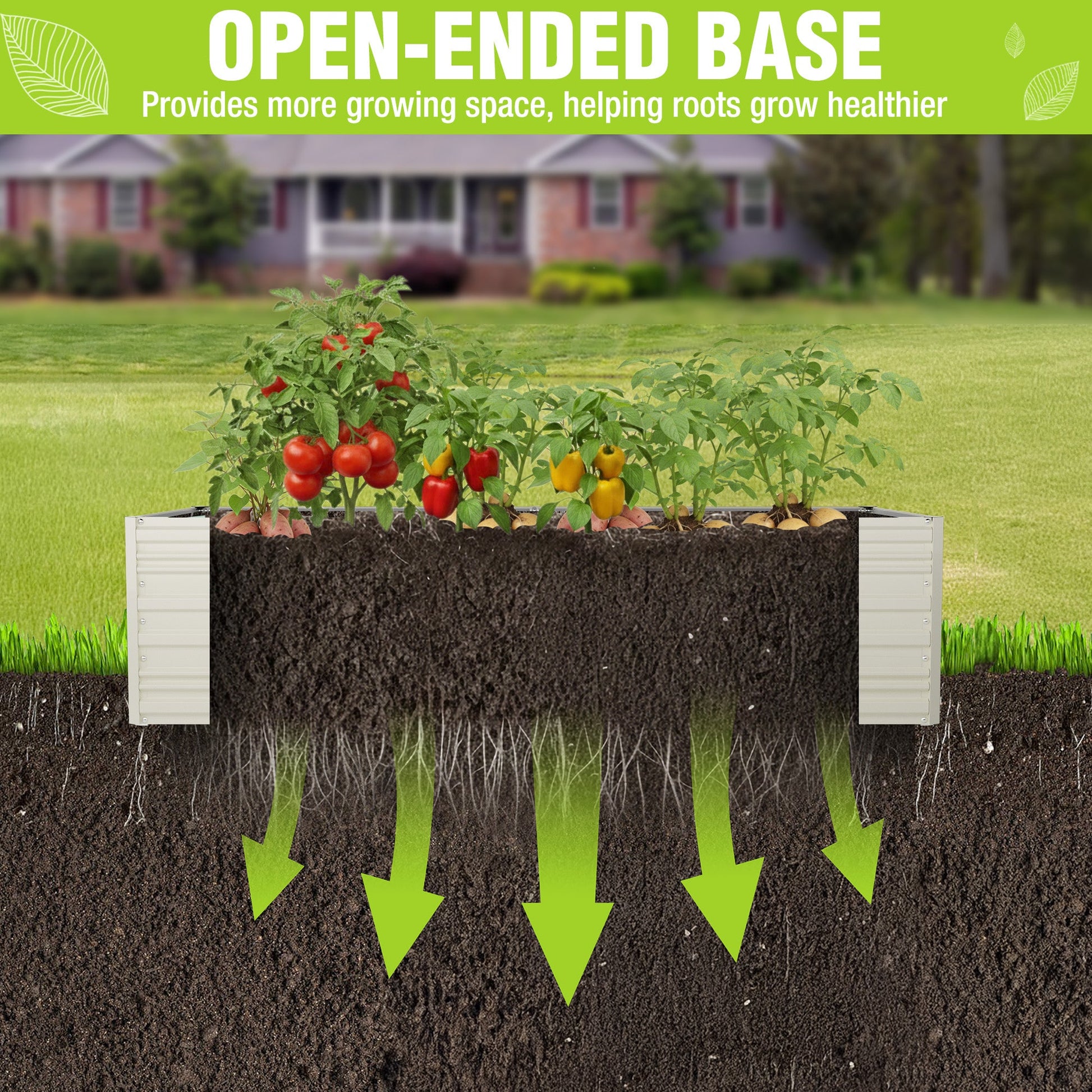 White raised garden bed with tomato plants in dark soil