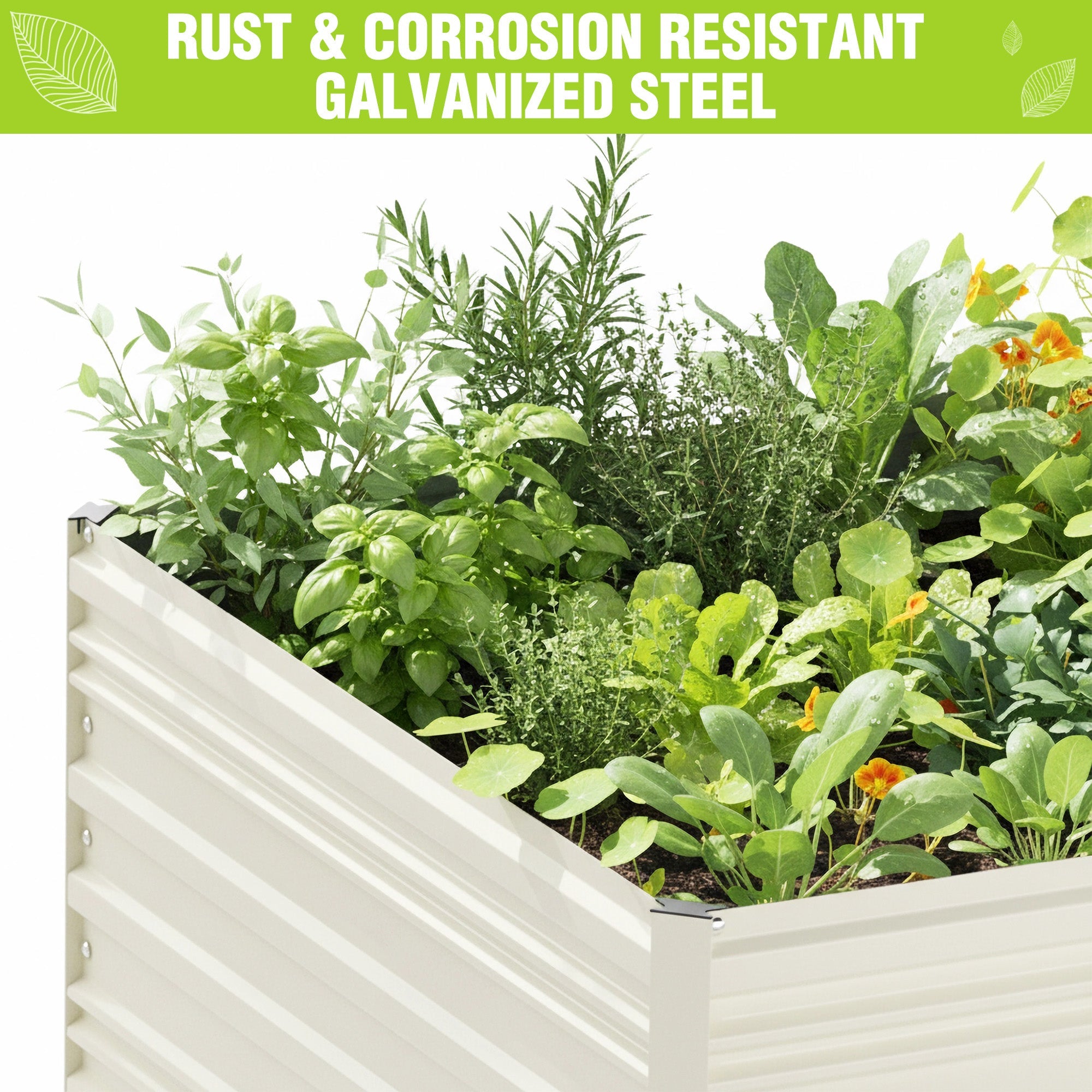 White raised garden bed with leafy greens growing inside