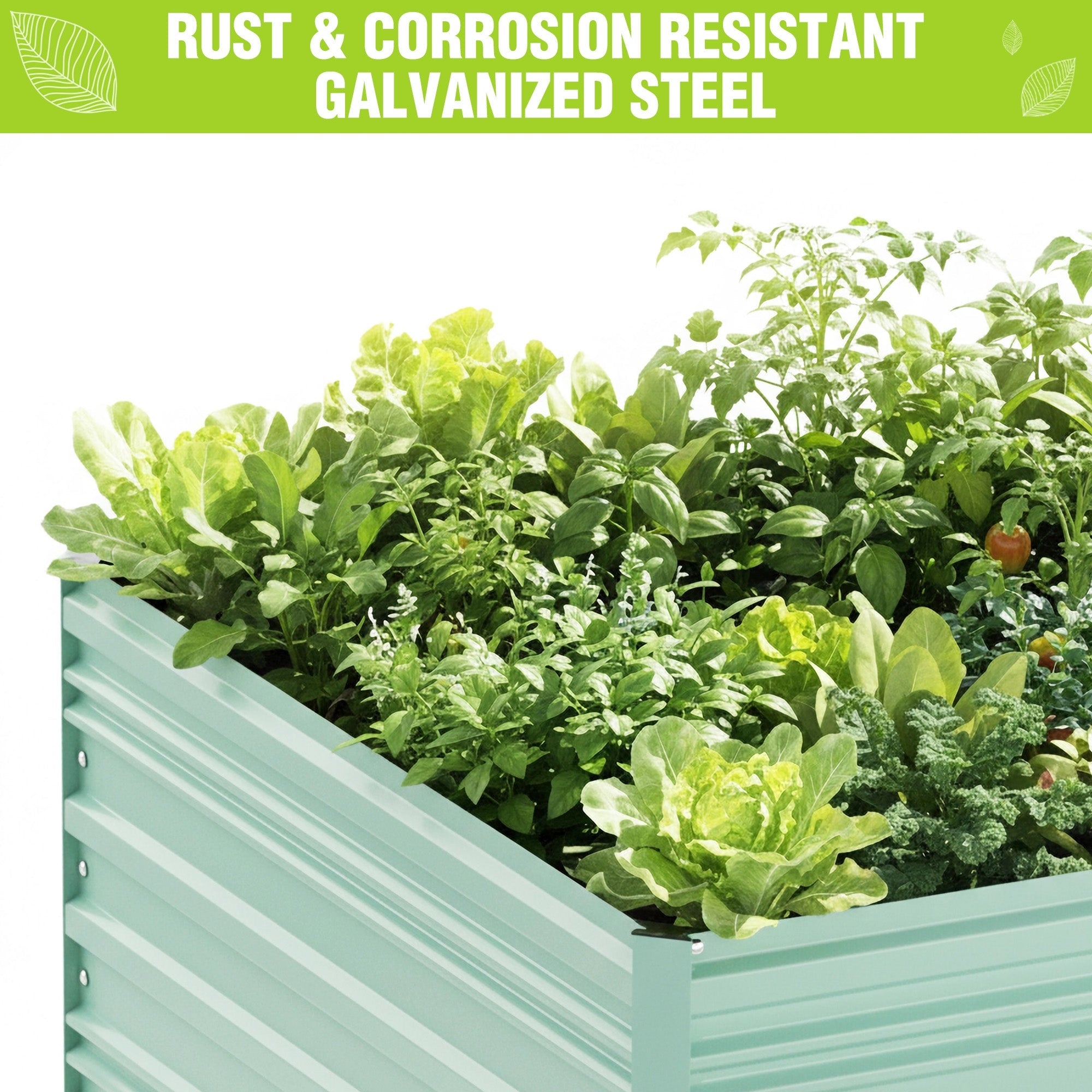 Green galvanized metal raised garden bed holding leafy green plants