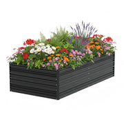 Black metal raised garden bed with colorful flowers in a rectangular frame