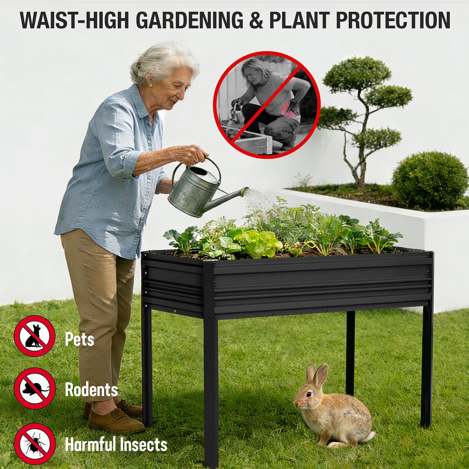 Black raised garden bed with legs for gardening and plant protection from pests.