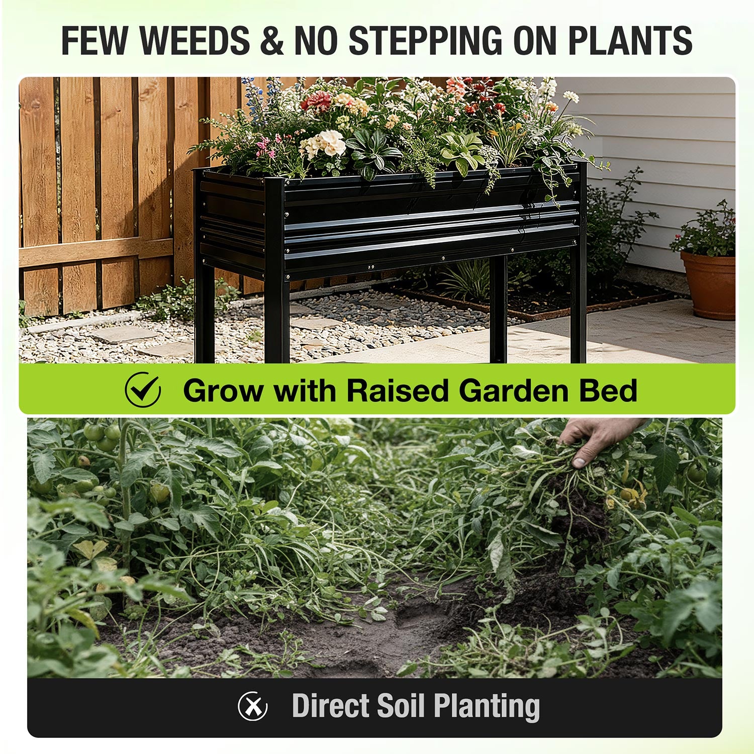 Black raised garden bed with legs, filled planter with planted greens and weeds barrier.