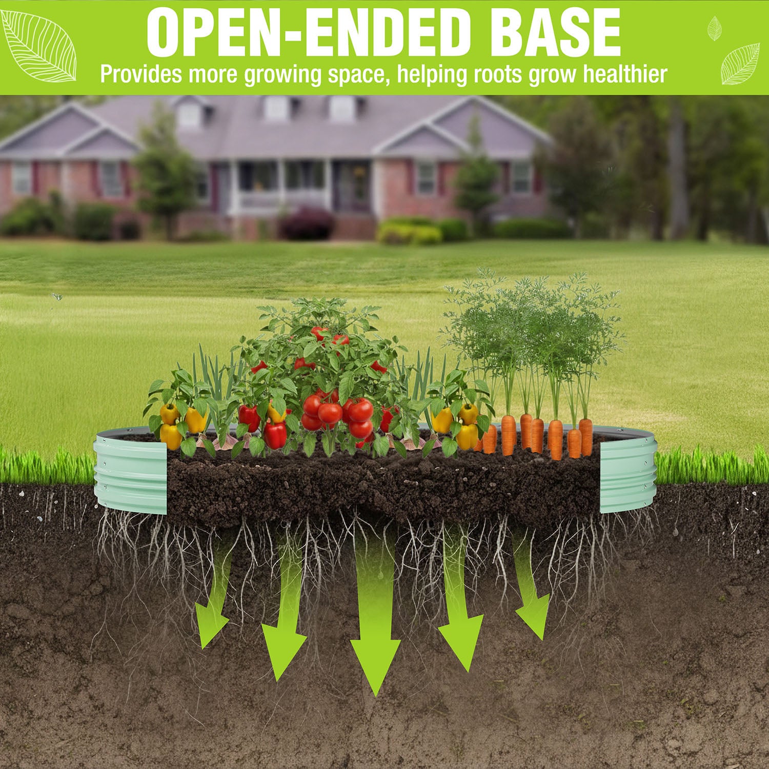 Mint green open-ended raised garden bed with plant-filled soil and sprouting roots.