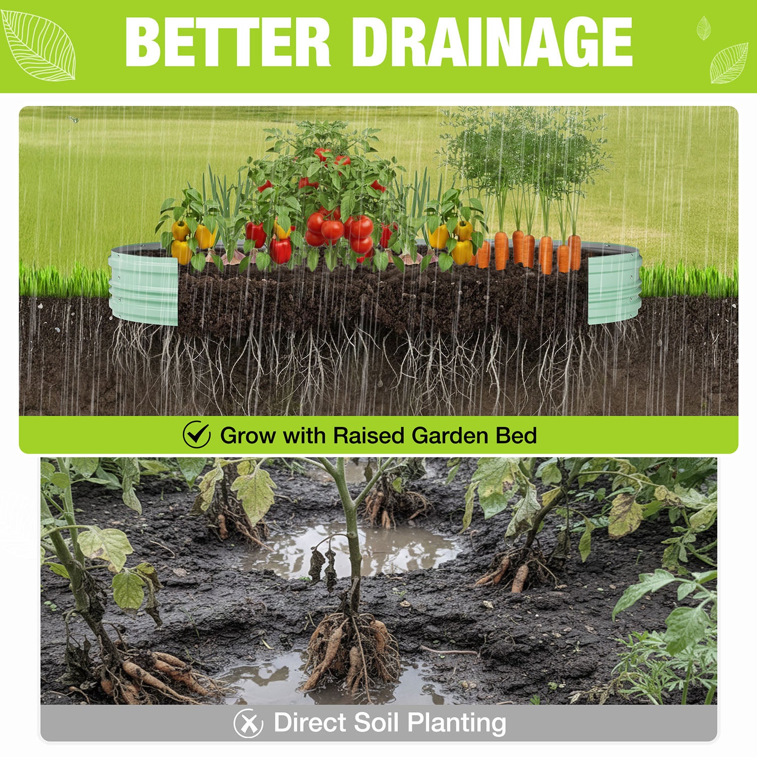 Mint green raised garden bed with better drainage illustration and soil around plants.