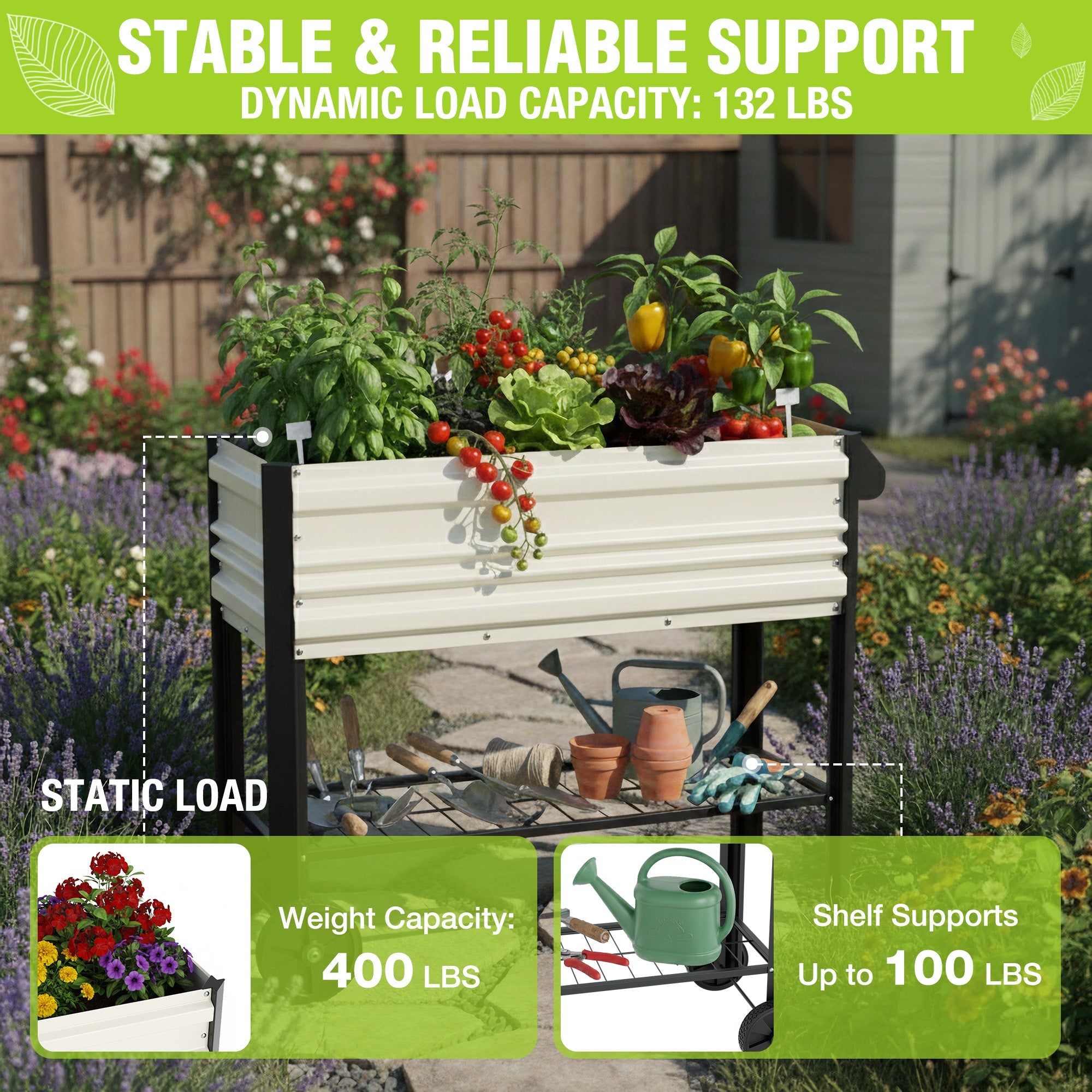 White raised garden bed with black frame, plants inside and gardening tools on lower shelf.