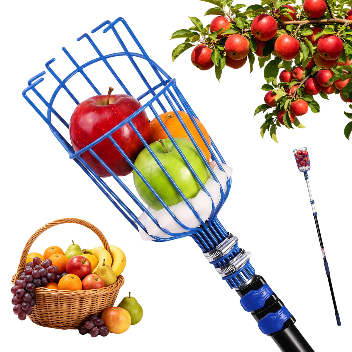 Workpro 12 foot telescoping fruit picker tool in blue with aluminum alloy pole and foam-padded base