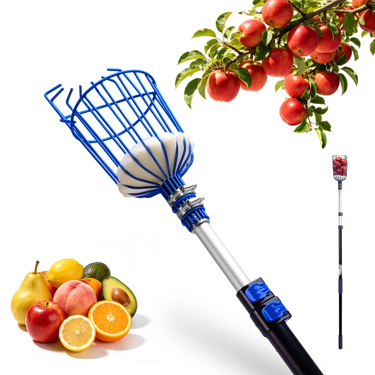 Workpro 12 foot telescoping fruit picker tool with basket for orchard harvesting, shown in blue and silver with a