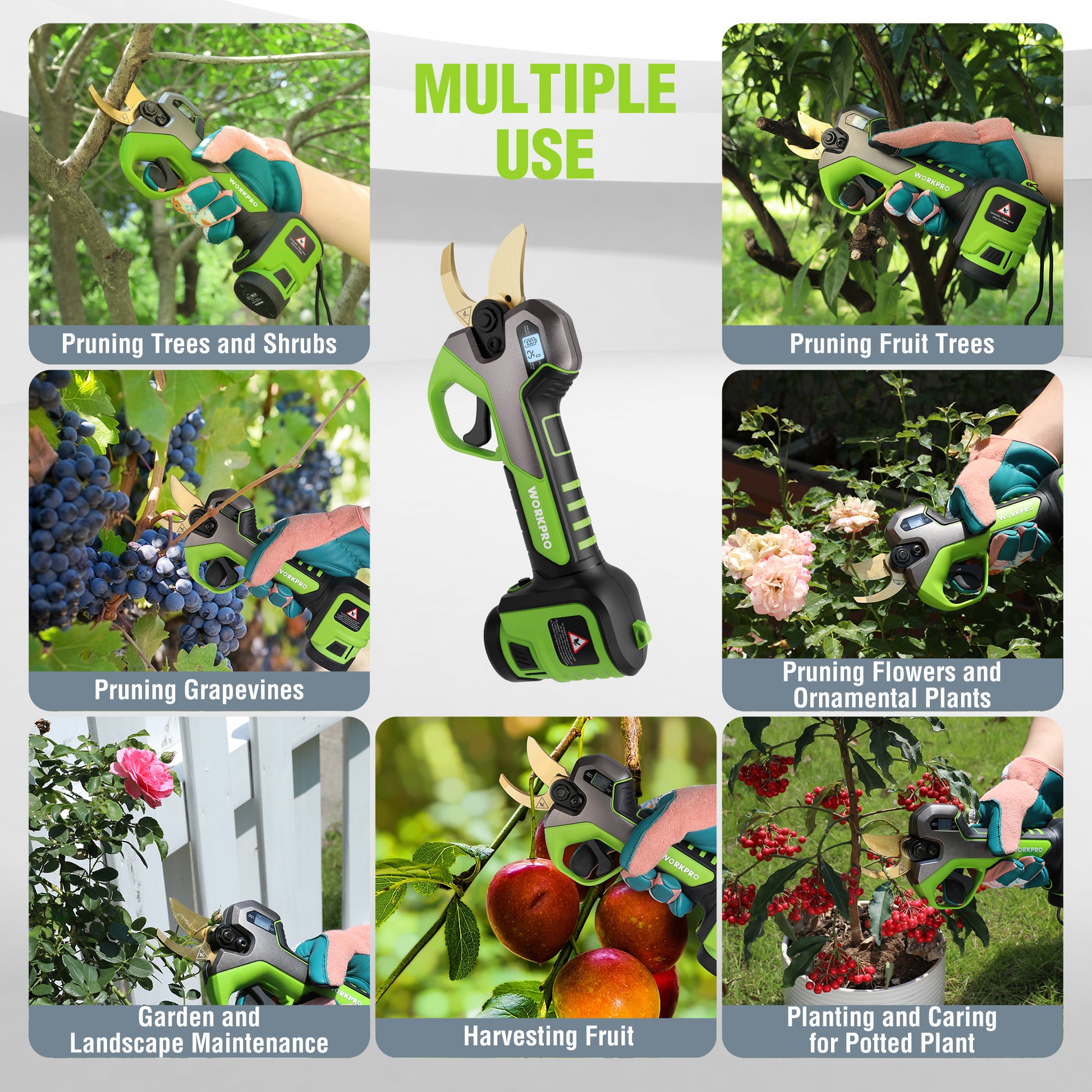 Cordless electric pruning shears shown pruning trees, vines, fruit and flowers