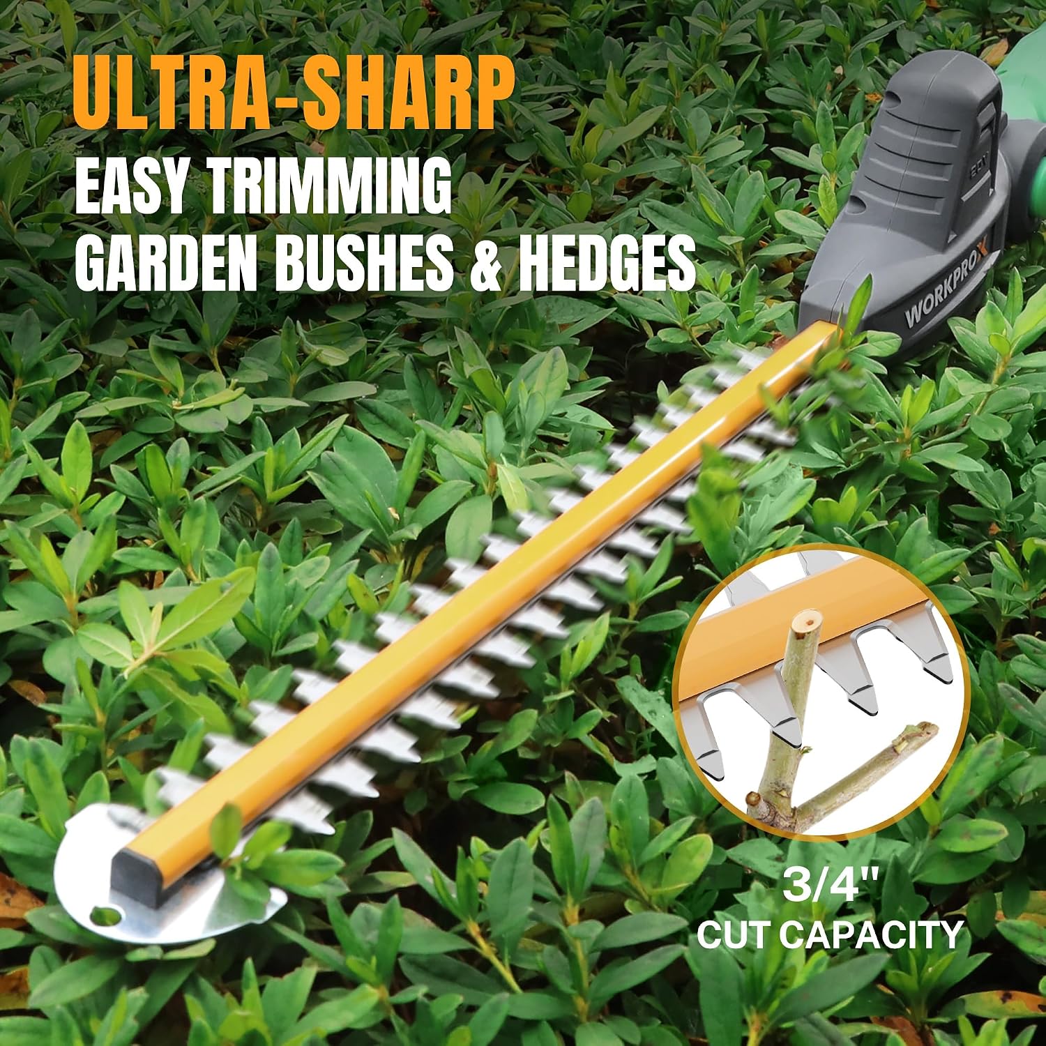 Orange and black pole hedge trimmer blade bar for trimming garden bushes and hedges