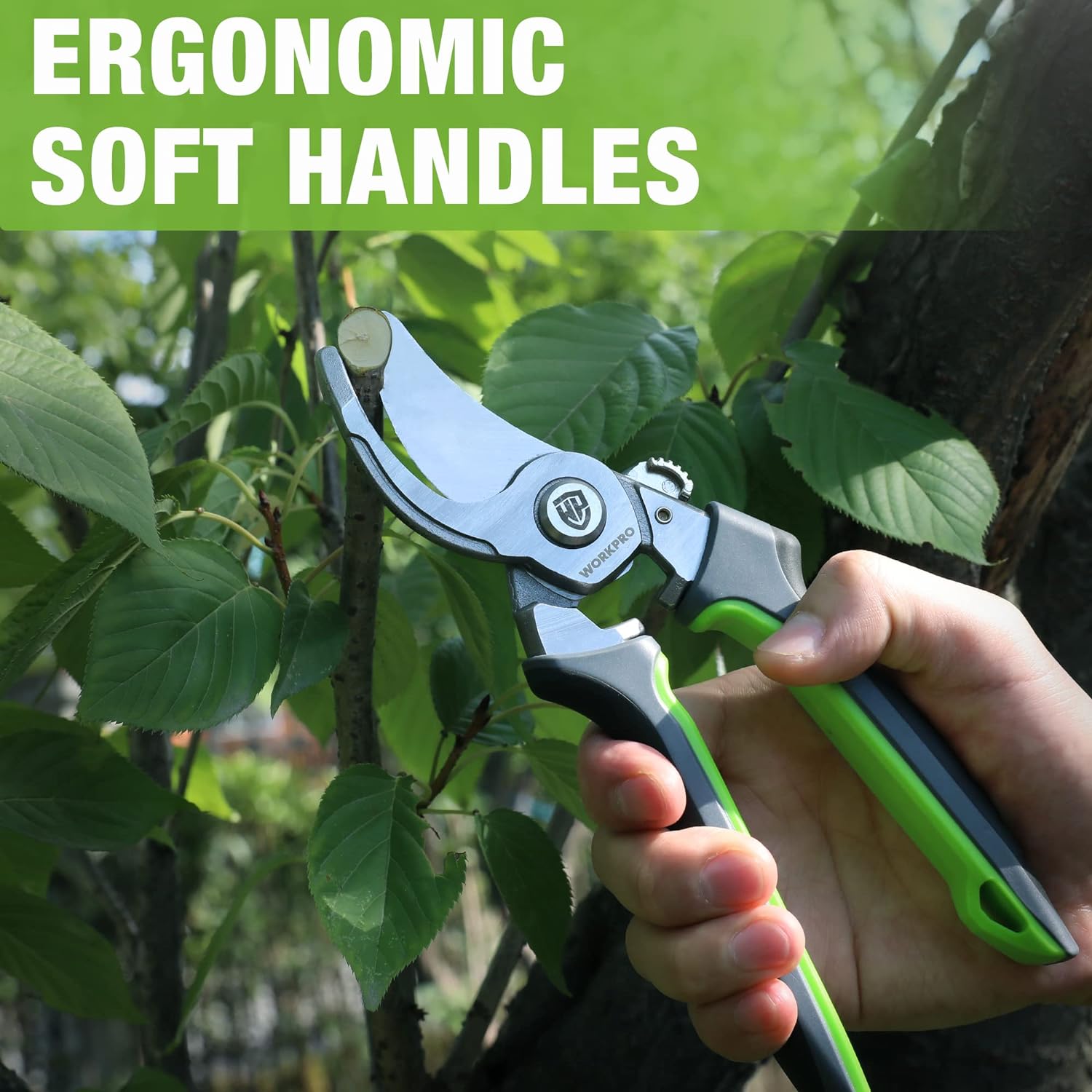 Bypass pruning shears with soft black-and-green handles and curved silver cutting blades.