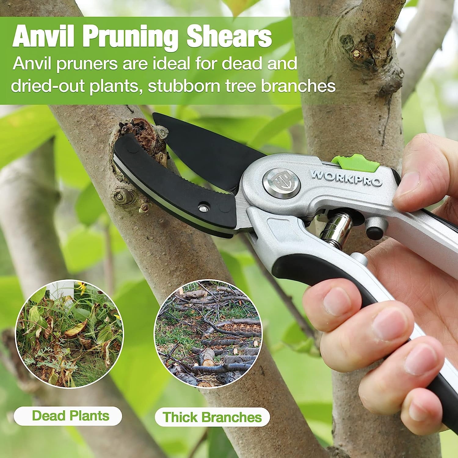 Anvil pruning shears trimming a tree branch with black blade and green accents