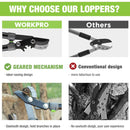 WORKPRO Extendable Anvil Lopper , 25-37" Branch Cutter, Heavy Duty Garden Tree Trimmer