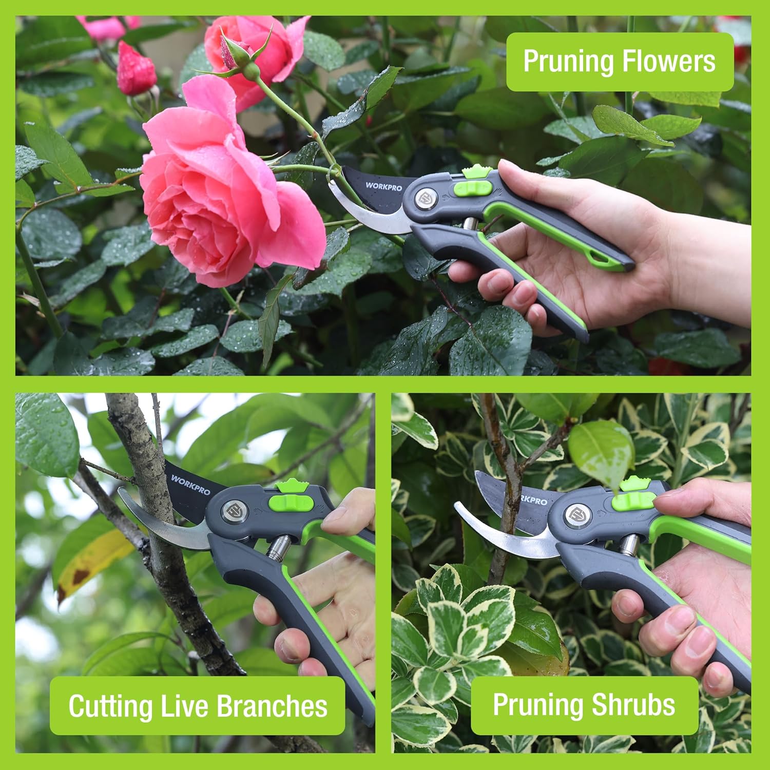 Bypass pruning shears cutting stems with black-and-green ergonomic handles