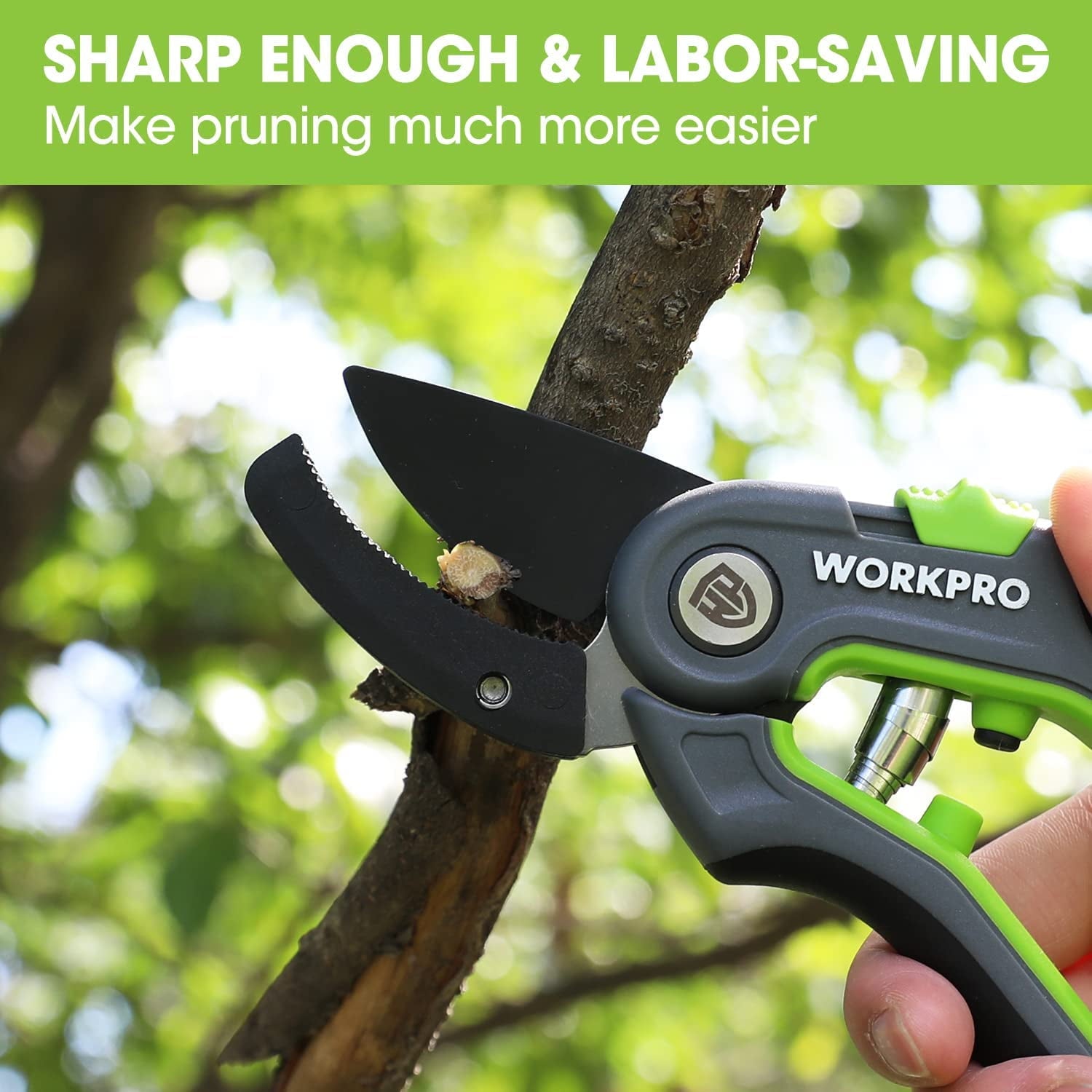 Green and black pruning shears cutting a woody branch for clean pruning