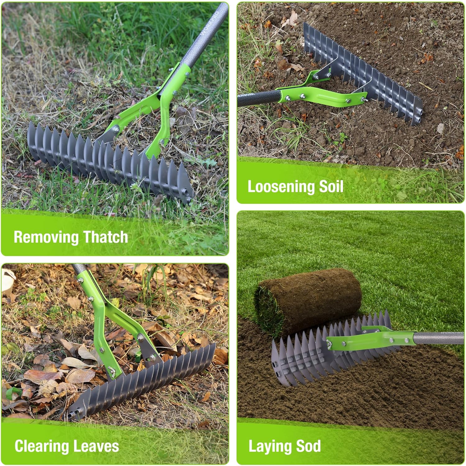 Green dethatching rake with curved steel teeth for removing thatch and clearing debris
