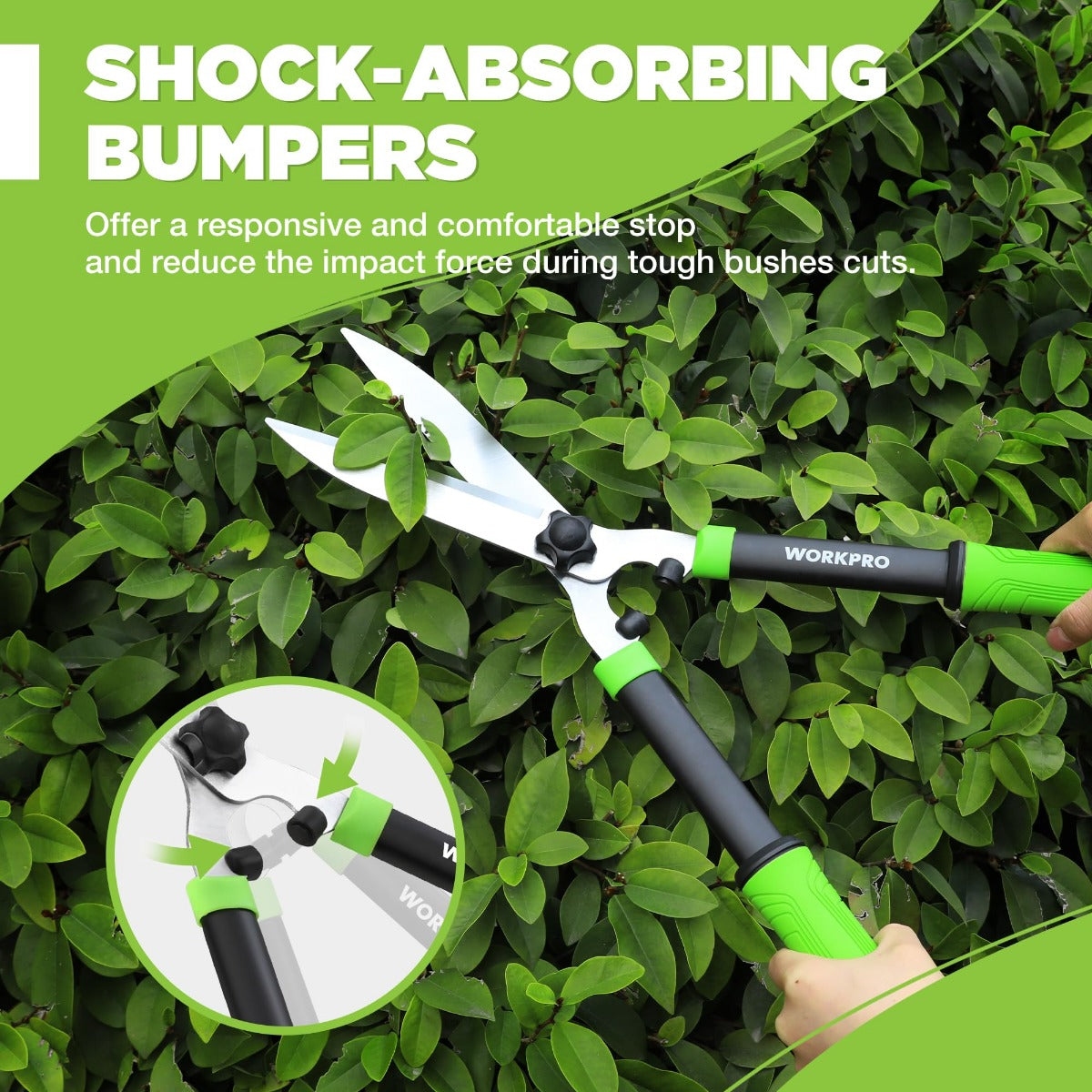 Green and black manual hedge shears held above dense hedges