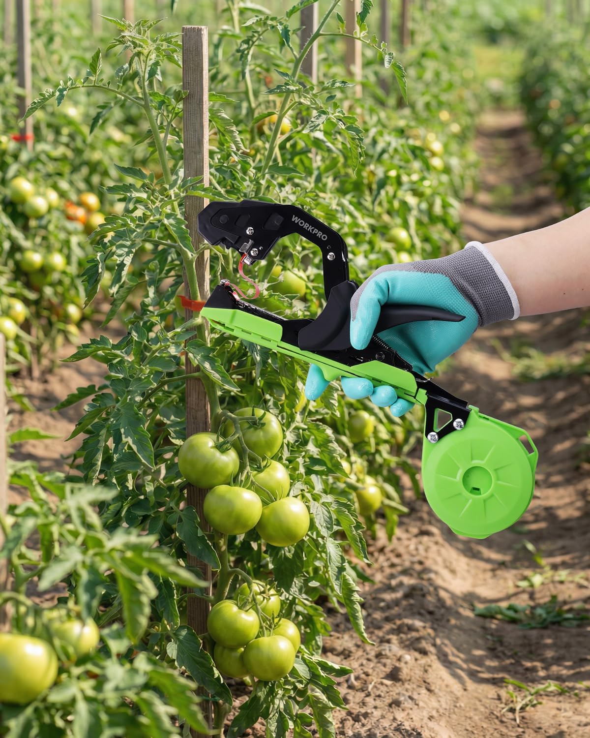 WORKPRO plant tying machine with green tape, black handle, securing tomato stems outdoors