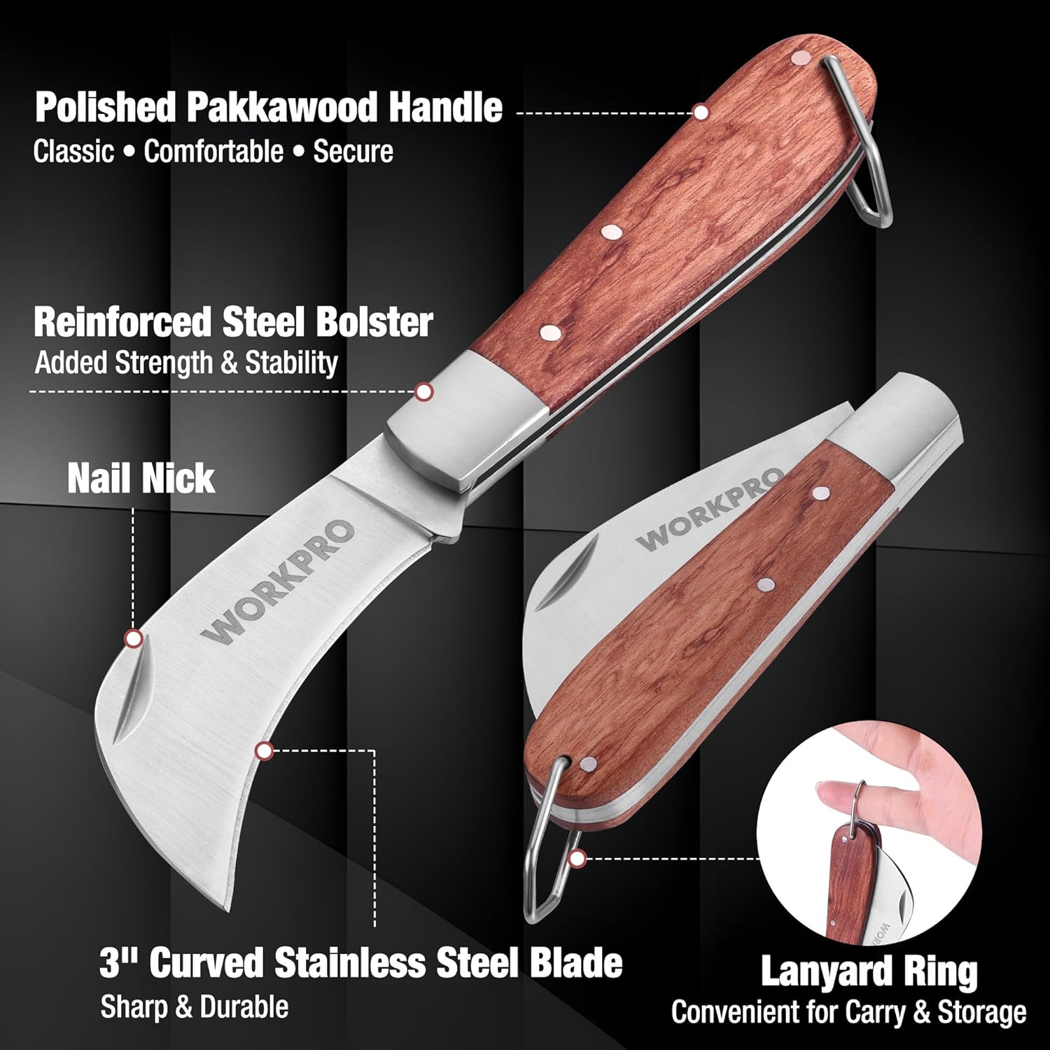 Folding utility knife with wood handle, lanyard ring, and curved stainless blade
