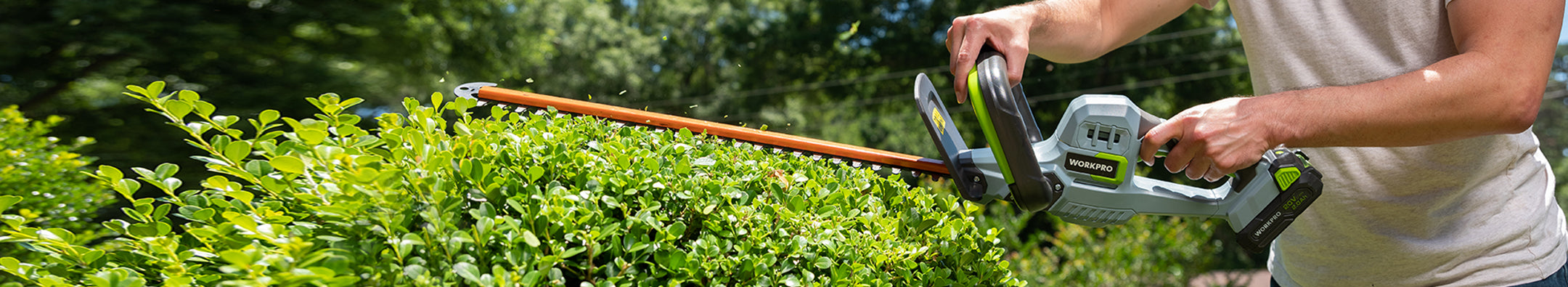 Person trimming a dense green hedge with a gray and green electric hedge trimmer, sparks and clippings flying