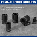 WORKPRO 60-piece Master Torx Bit Socket and External Torx Socket Set, 1/4", 3/8", 1/2" Drive Bits, Female E Sockets E4-E24, Star Socket Bits T6-T70, TT6-TT70, TP8-TP60, CR-V & S2 Alloy Steel