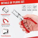 WORKPRO Pliers Set, 3-Piece Plier Tool Set with Soft Handle, 6" Needle Nose, 6" Slip Joint, 8" Groove Joint Plier for DIY & Home Use