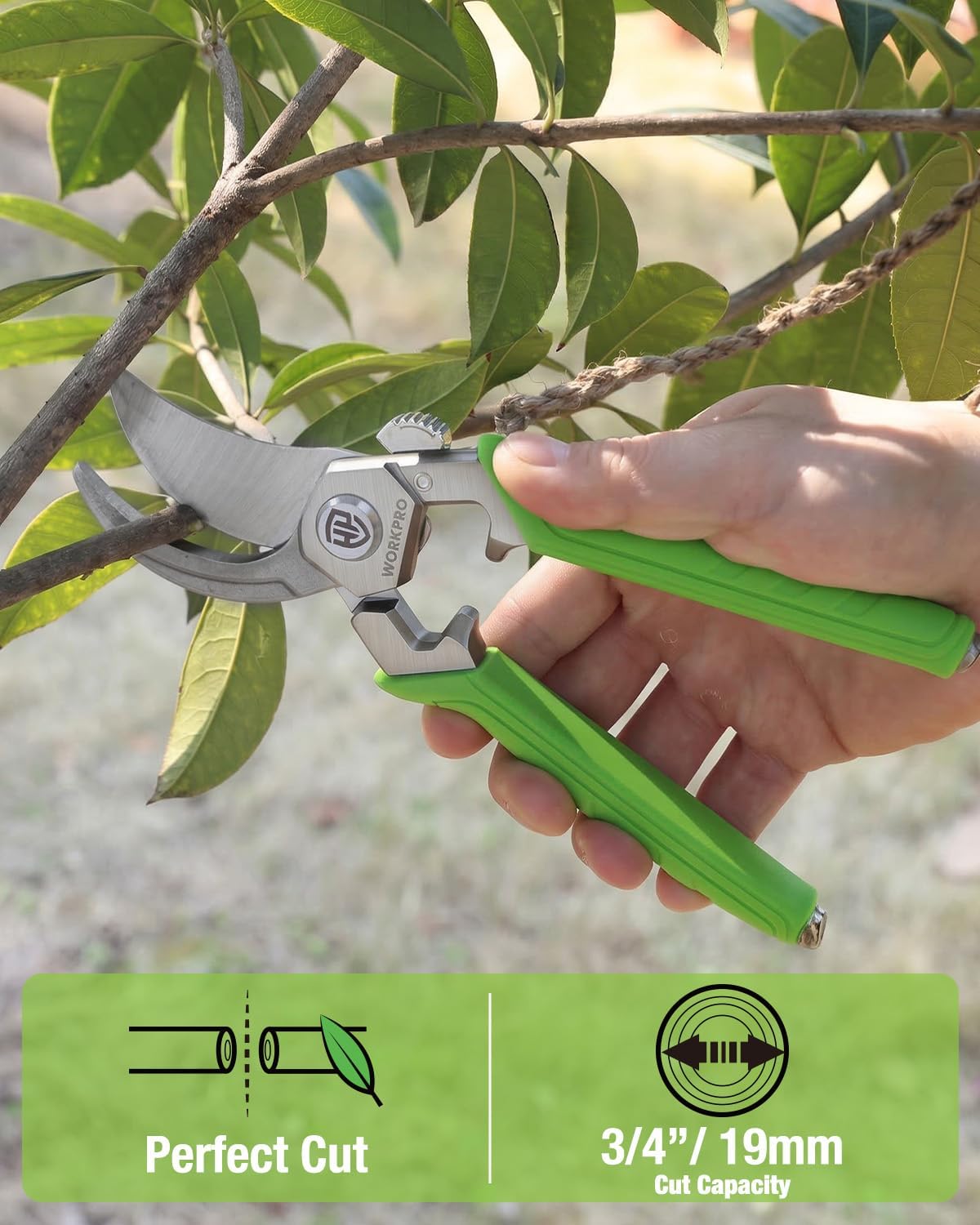 Green-handled bypass pruning shears with curved silver blade trimming a tree branch