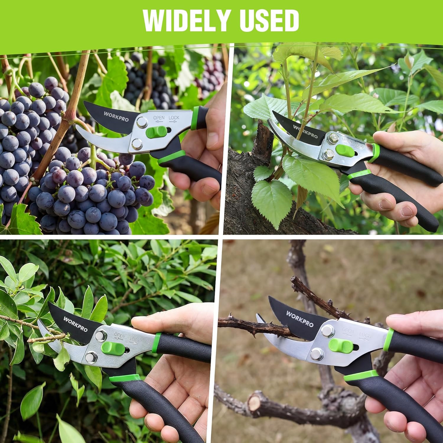 Bypass pruning shears in hand trimming vines and branches, green thumb lock