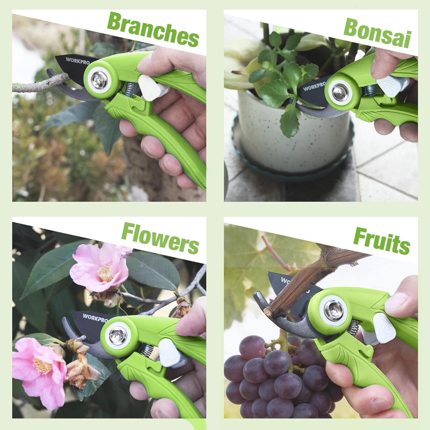 Green bypass pruning shears held near branches, flowers, and fruit clusters