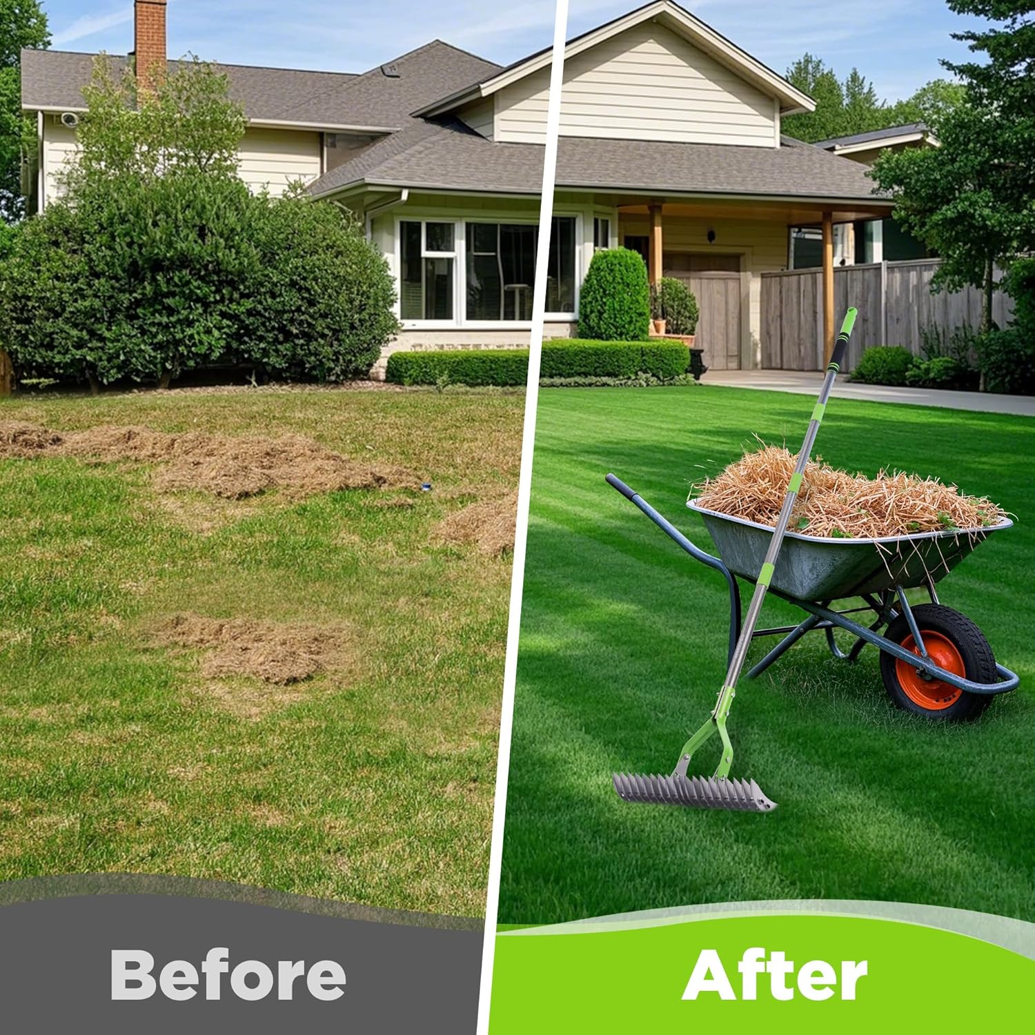 Before-and-after view of lawn being dethatched with a green-handled steel rake