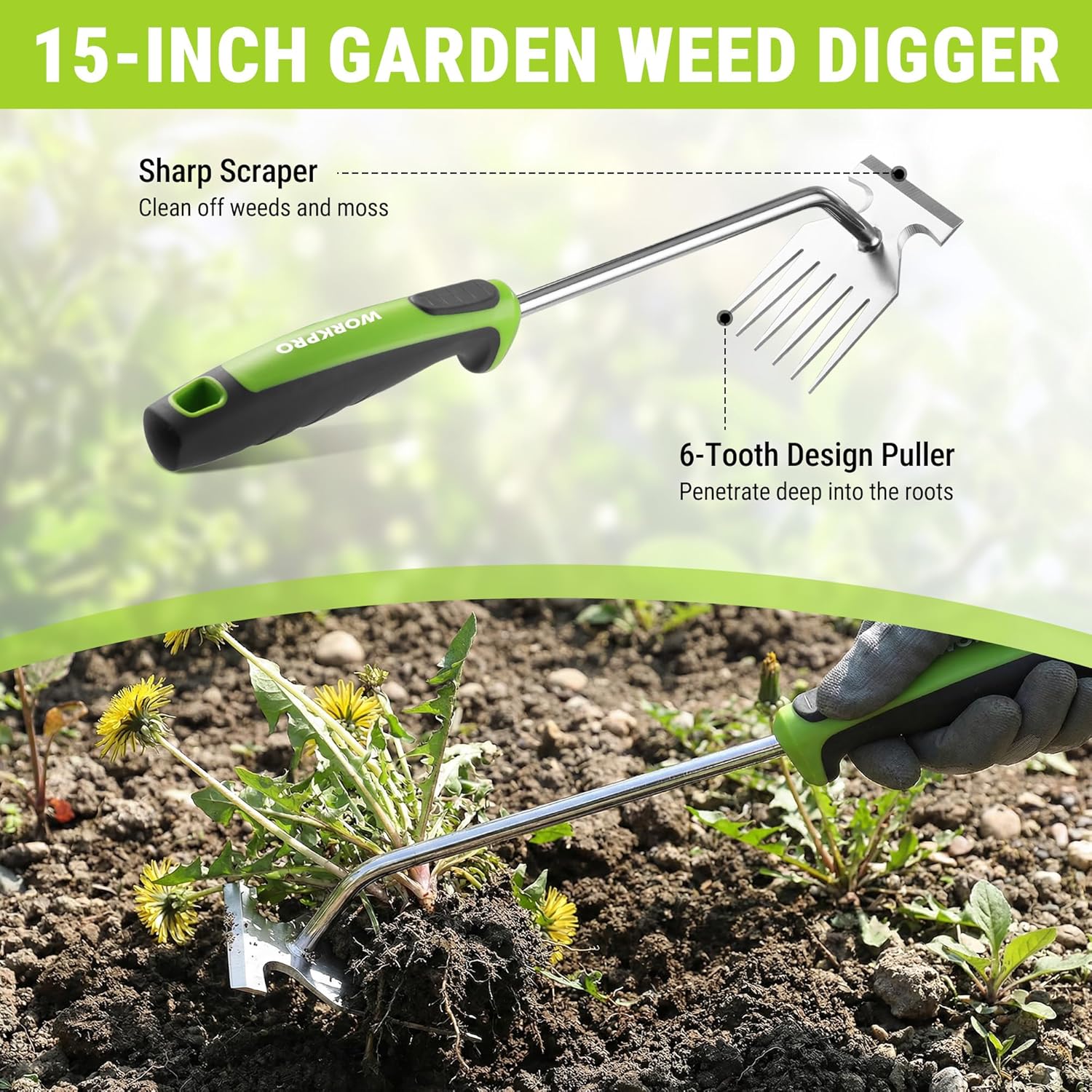 15-inch garden weed digger with 6-tooth stainless design and green-gray handle