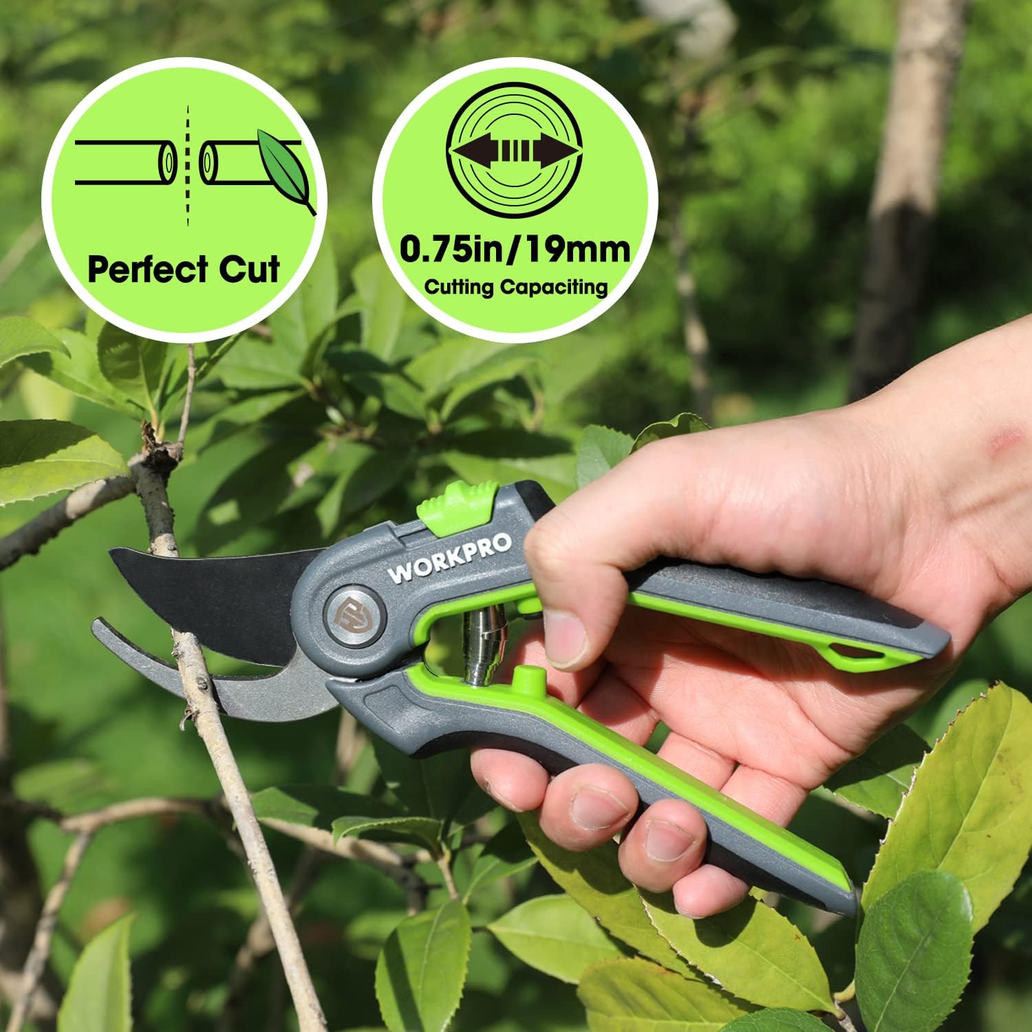 Bypass pruning shears cutting twig with green handle and curved black blades