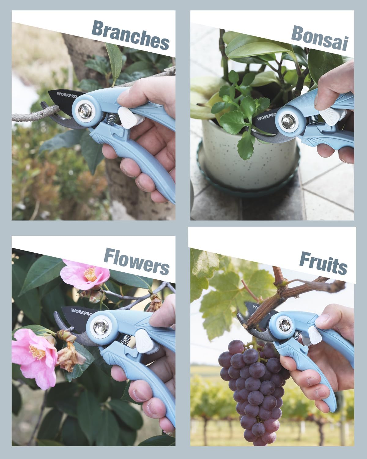 WORKPRO blue pruning shears cutting branches, bonsai, flowers, and fruit