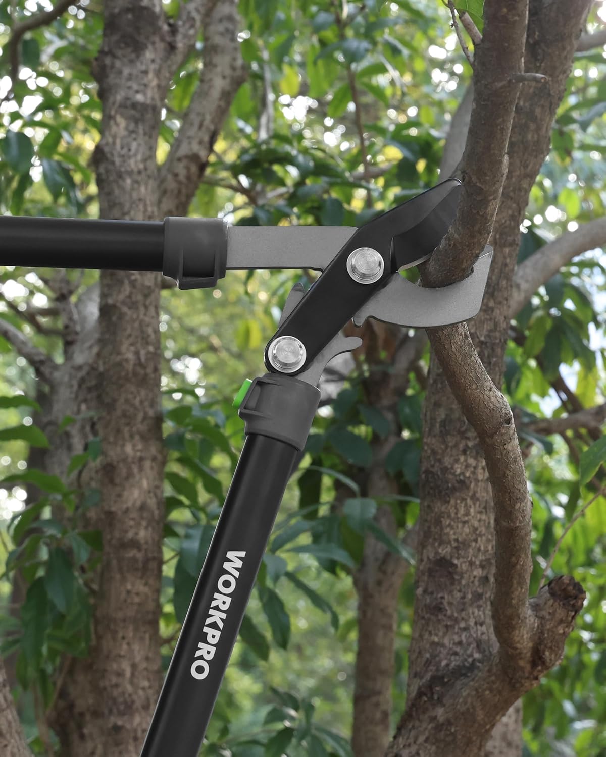 Bypass lopper cutting head on a tree branch with black blades and green handle accents