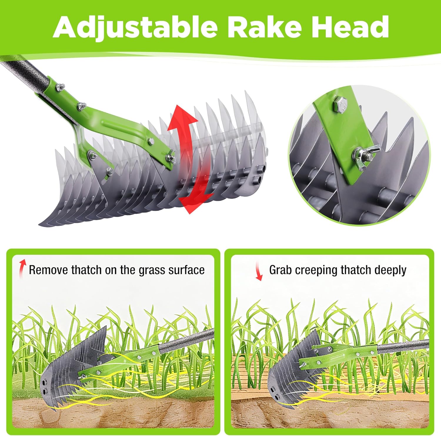 Adjustable dethatching rake head with curved steel teeth and green frame