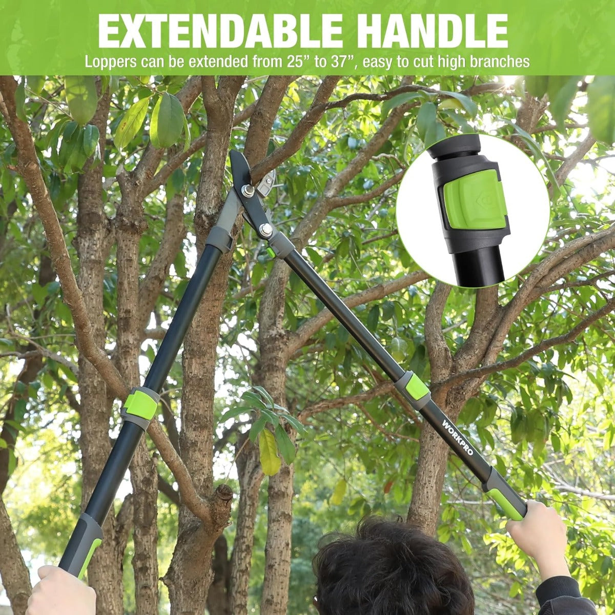 Extendable lopper with long gray handles and green grips, held among tree branches