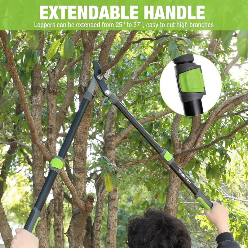 WORKPRO Extendable Anvil Lopper , 25-37" Branch Cutter, Heavy Duty Garden Tree Trimmer
