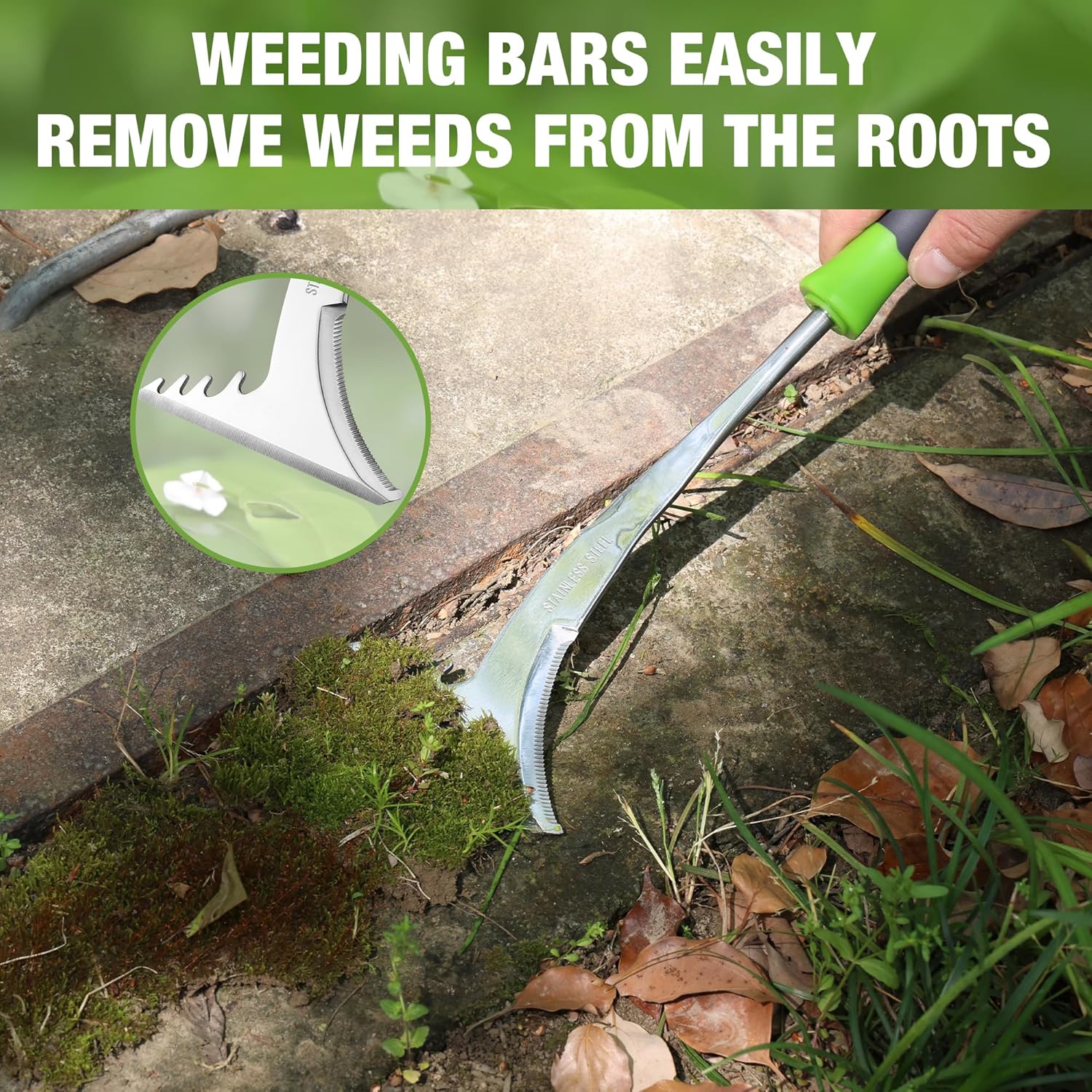 Crack weeder with stainless steel blade and green handle for weeds between patio stones