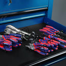 WORKPRO Pliers Set, 20-Piece Complete Pliers Set with 2-pack Organizer Rack, Channel Locks Plier and Vise Grip Plier Assortment for Home, Garage, Mechanics & DIY Projects