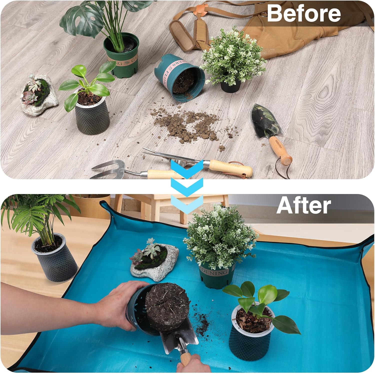 Waterproof blue square plant repotting mat with raised edges, holding potted plants
