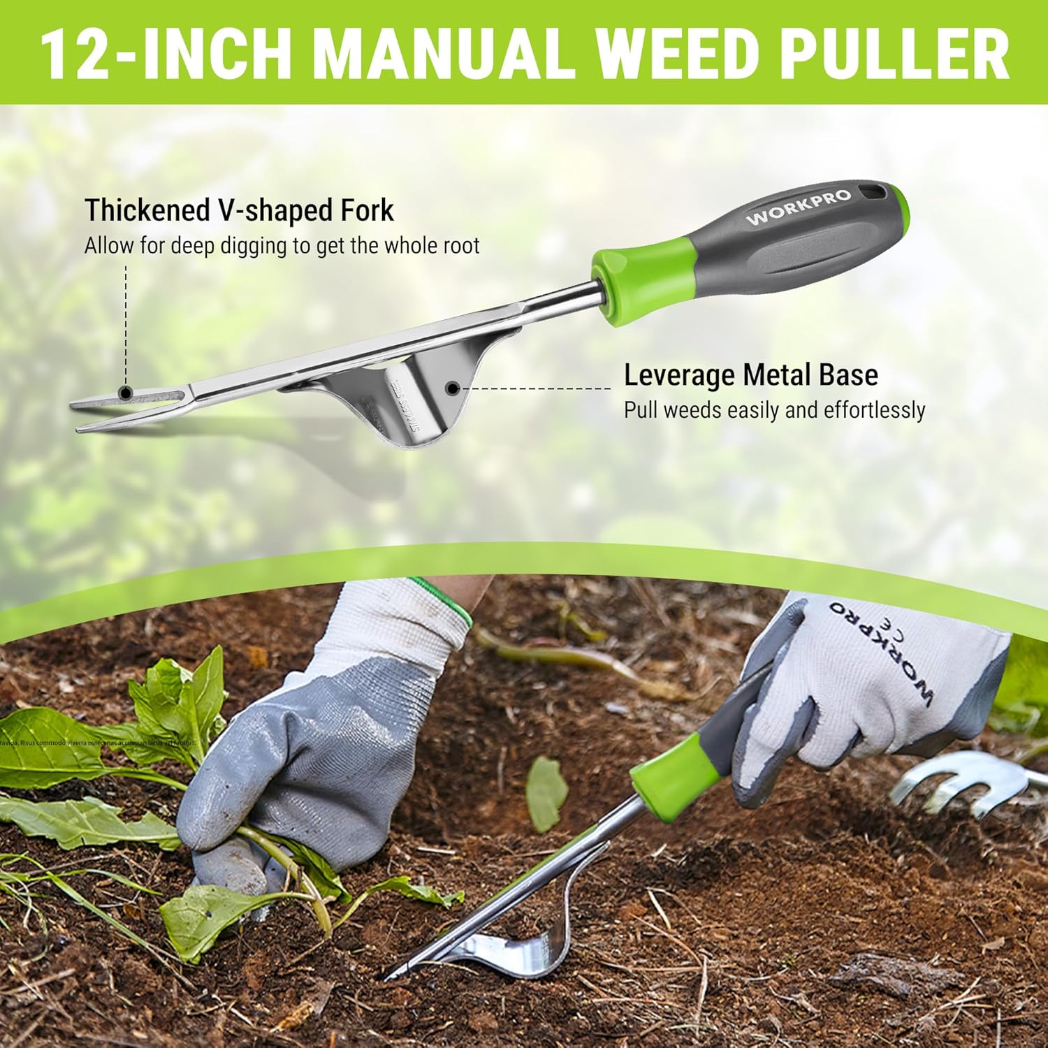 12-inch manual weed puller with V-shaped metal base and green-gray handle